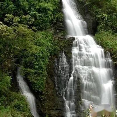 快点上厕所